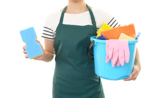 Professional carpet cleaning in a Wapping home
