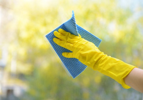 Carpet cleaning team preparing a safe work area