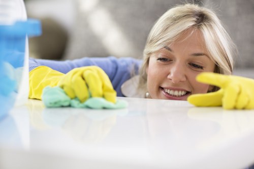 Wapping Carpet Cleaners dedicated to long-term carpet care and freshness