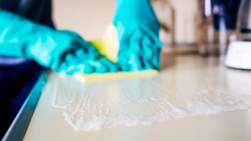 Professional using carpet cleaning equipment with care