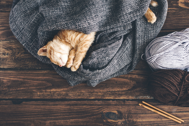 House cleaning home cleaning